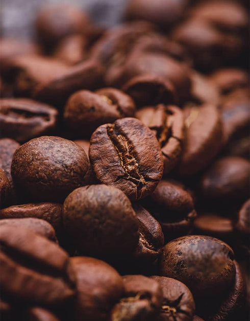 Scropスペシャルティコーヒーブレンドドリップバッグ10個×焼き菓子6個セット(フィナンシェ) SG-F5